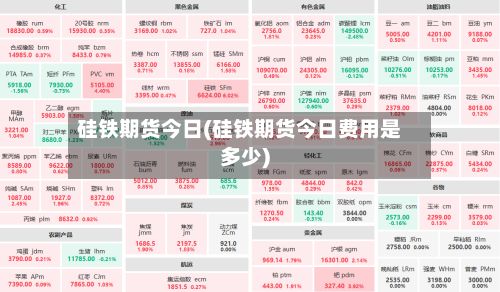 硅铁期货今日(硅铁期货今日费用是多少)