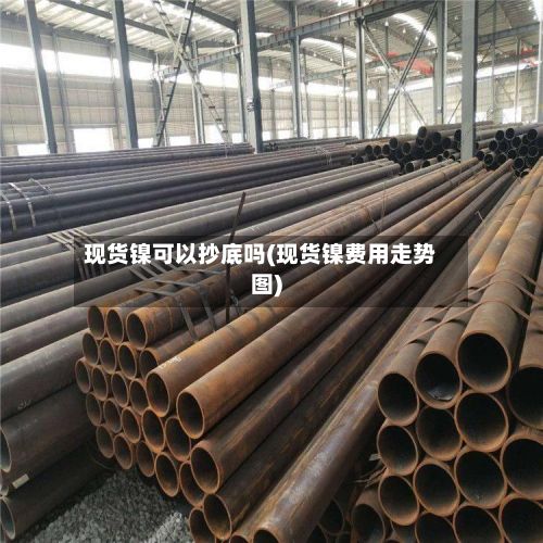 现货镍可以抄底吗(现货镍费用走势图)-第2张图片