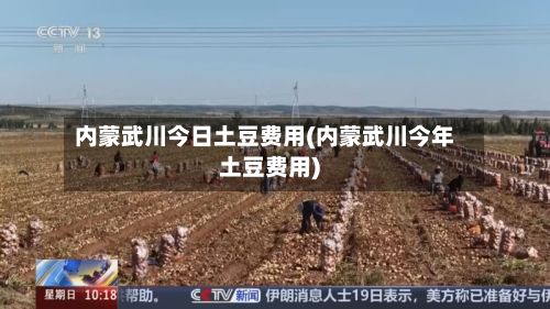 内蒙武川今日土豆费用(内蒙武川今年土豆费用)