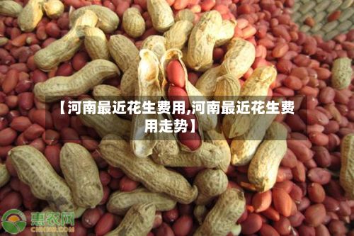 【河南最近花生费用,河南最近花生费用走势】