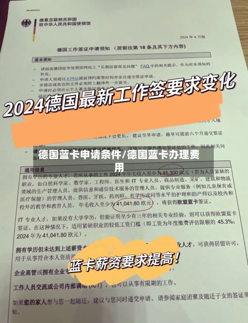 德国蓝卡申请条件/德国蓝卡办理费用-第2张图片