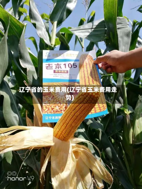 辽宁省的玉米费用(辽宁省玉米费用走势)