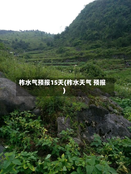 柞水气预报15天(柞水天气 预报)-第3张图片