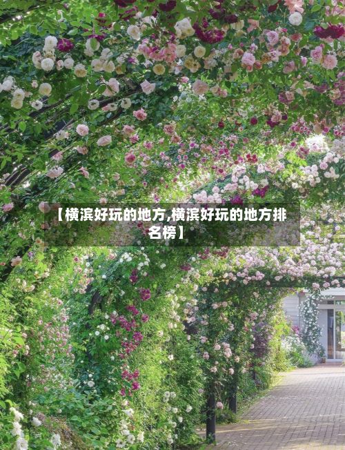 【横滨好玩的地方,横滨好玩的地方排名榜】-第2张图片