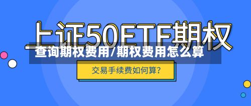 查询期权费用/期权费用怎么算