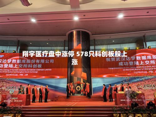翔宇医疗盘中涨停 578只科创板股上涨-第2张图片
