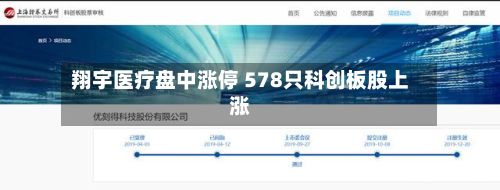 翔宇医疗盘中涨停 578只科创板股上涨