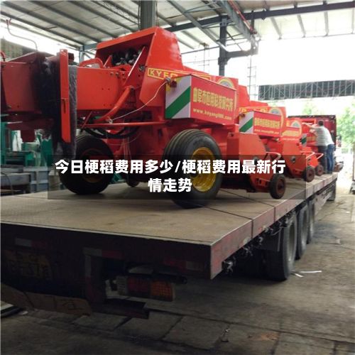 今日梗稻费用多少/梗稻费用最新行情走势