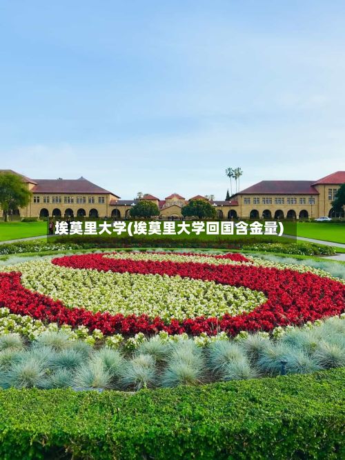 埃莫里大学(埃莫里大学回国含金量)-第2张图片