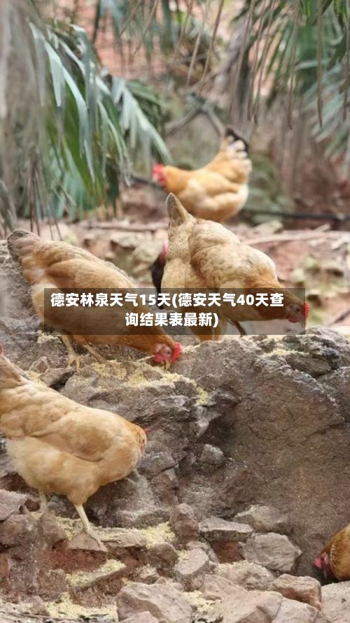 德安林泉天气15天(德安天气40天查询结果表最新)