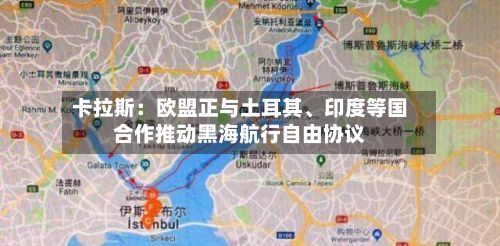 卡拉斯：欧盟正与土耳其、印度等国合作推动黑海航行自由协议-第2张图片