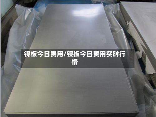 镍板今日费用/镍板今日费用实时行情-第2张图片