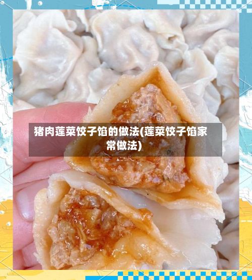 猪肉莲菜饺子馅的做法(莲菜饺子馅家常做法)-第2张图片
