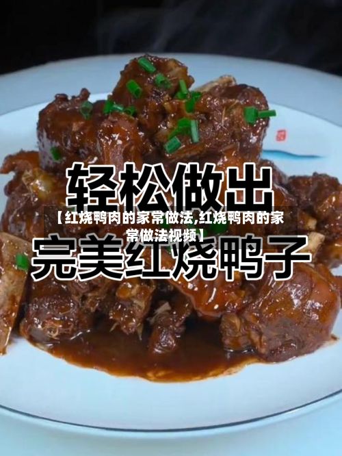 【红烧鸭肉的家常做法,红烧鸭肉的家常做法视频】