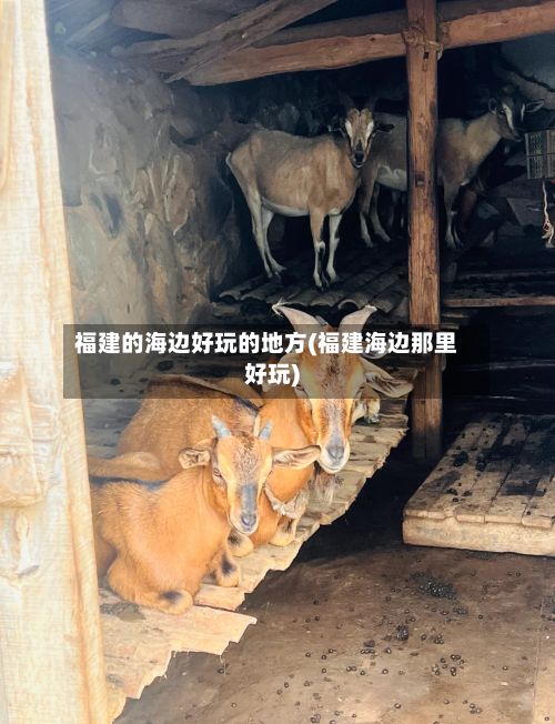 福建的海边好玩的地方(福建海边那里好玩)-第2张图片