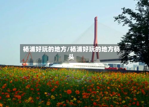 杨浦好玩的地方/杨浦好玩的地方码头-第2张图片