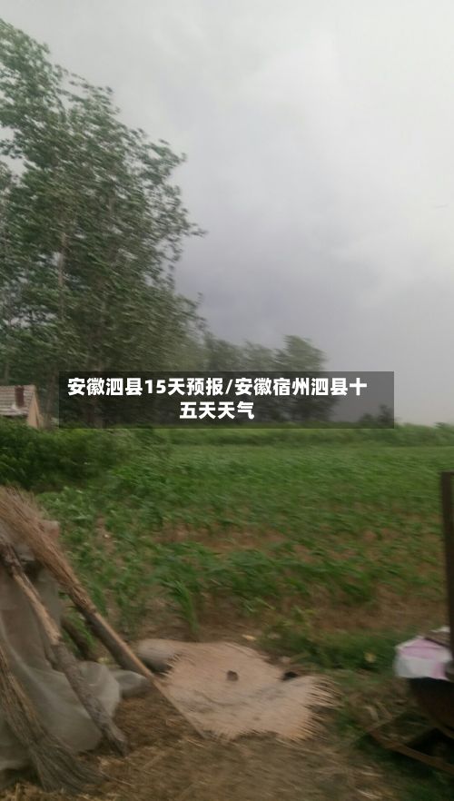 安徽泗县15天预报/安徽宿州泗县十五天天气
