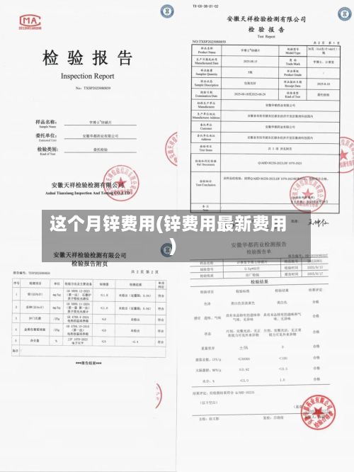 这个月锌费用(锌费用最新费用)