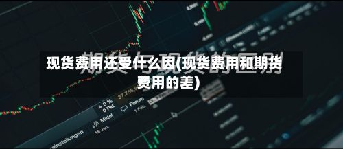 现货费用还受什么因(现货费用和期货费用的差)-第2张图片