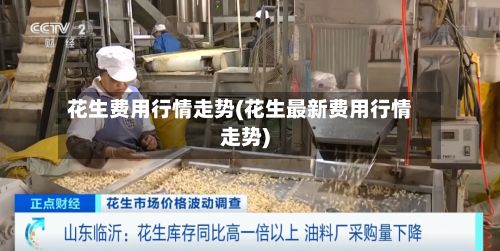 花生费用行情走势(花生最新费用行情走势)