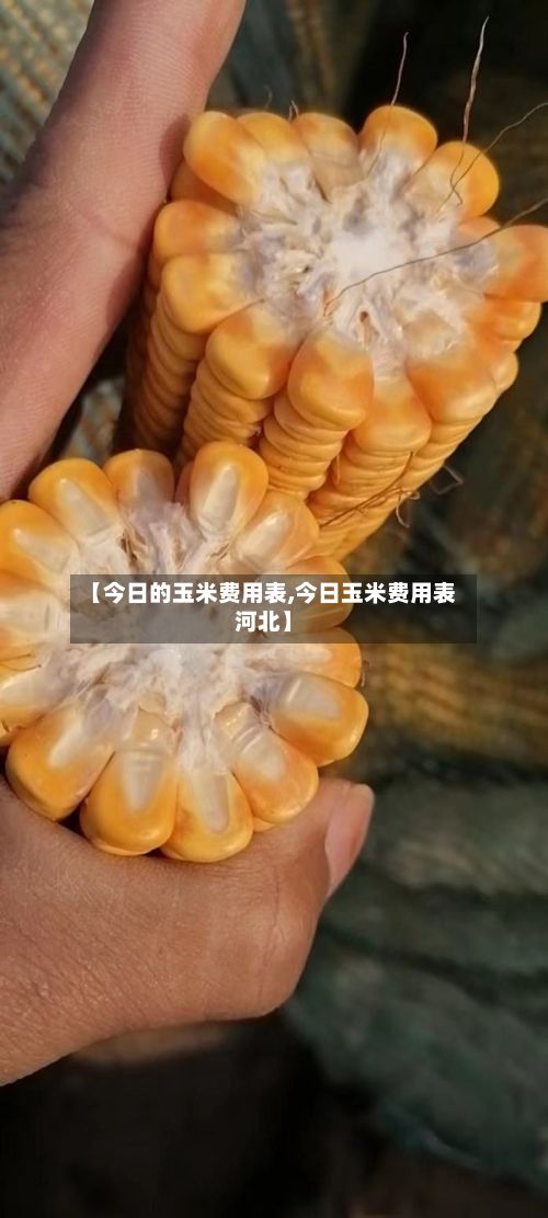 【今日的玉米费用表,今日玉米费用表河北】-第2张图片