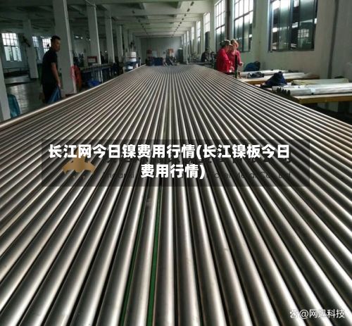 长江网今日镍费用行情(长江镍板今日费用行情)-第2张图片
