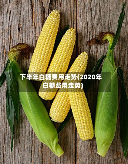 下半年白糖费用走势(2020年白糖费用走势)