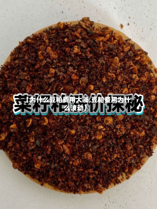 【为什么豆粕费用大涨,豆粕费用为什么波动】-第2张图片