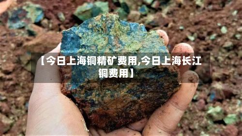 【今日上海铜精矿费用,今日上海长江铜费用】