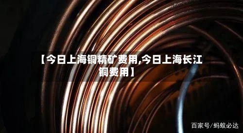 【今日上海铜精矿费用,今日上海长江铜费用】-第2张图片