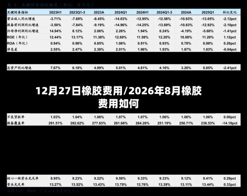 12月27日橡胶费用/2026年8月橡胶费用如何