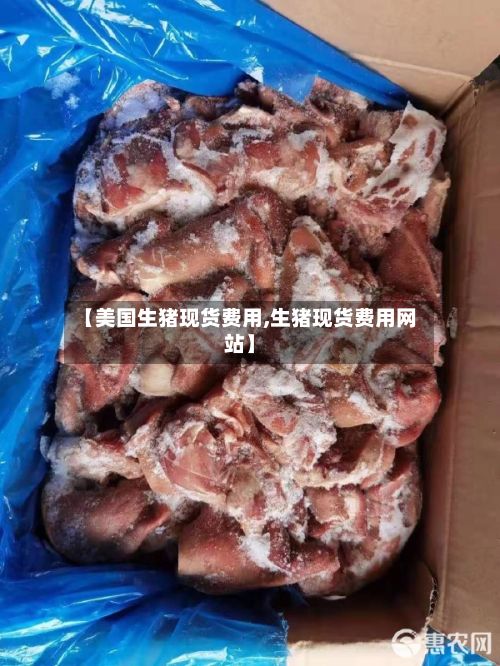 【美国生猪现货费用,生猪现货费用网站】-第2张图片