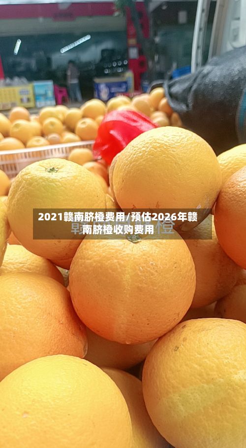 2021赣南脐橙费用/预估2026年赣南脐橙收购费用