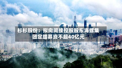 杉杉股份：拟向间接控股股东海螺集团定增募资不超40亿元-第3张图片
