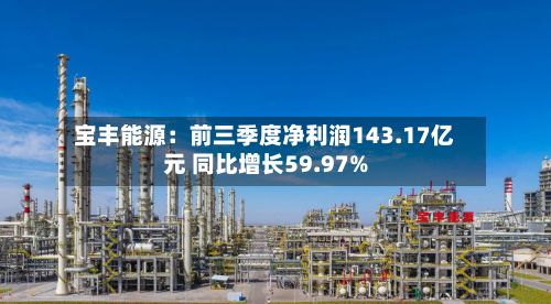 宝丰能源：前三季度净利润143.17亿元 同比增长59.97%-第1张图片