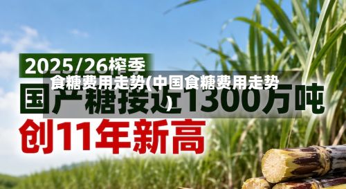 食糖费用走势(中国食糖费用走势)