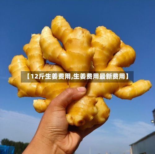 【12斤生姜费用,生姜费用最新费用】