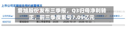 爱旭股份发布三季报，Q3归母净利转正，前三季度累亏7.09亿元-第2张图片