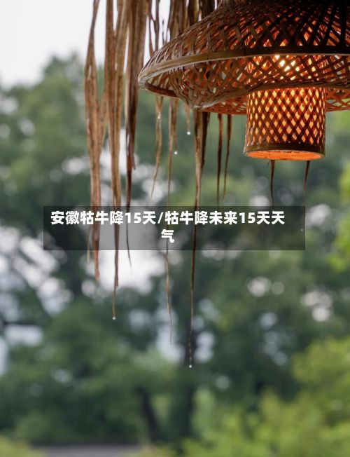 安徽牯牛降15天/牯牛降未来15天天气
