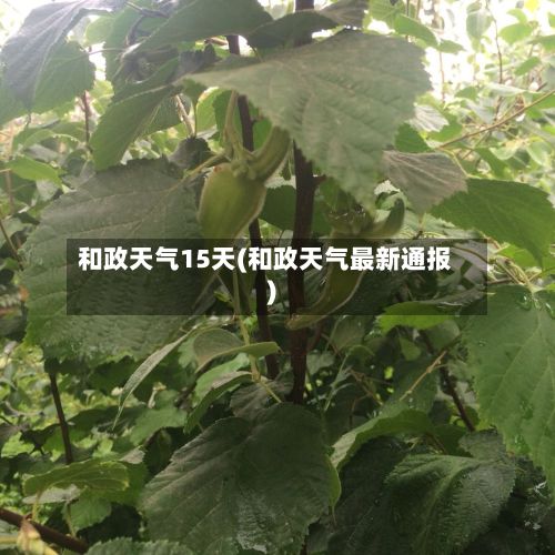 和政天气15天(和政天气最新通报)