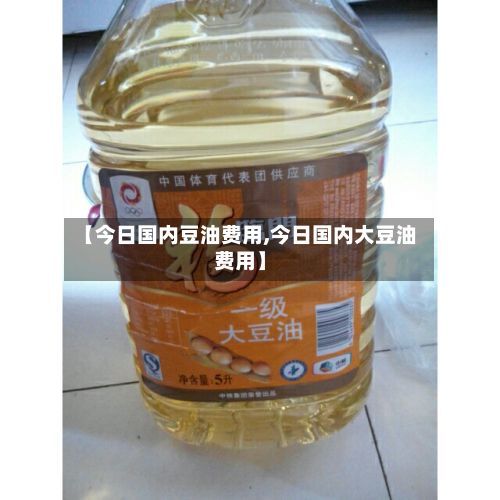 【今日国内豆油费用,今日国内大豆油费用】
