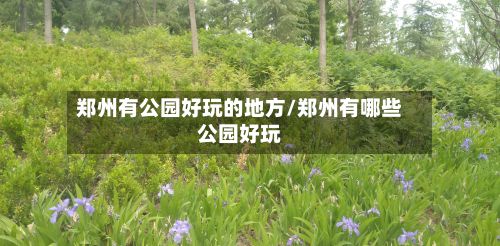 郑州有公园好玩的地方/郑州有哪些公园好玩-第2张图片