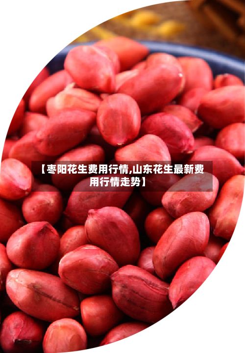 【枣阳花生费用行情,山东花生最新费用行情走势】-第2张图片