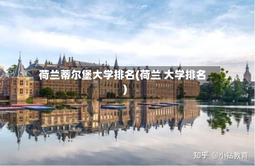 荷兰蒂尔堡大学排名(荷兰 大学排名)-第3张图片