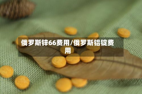 俄罗斯锌66费用/俄罗斯铝锭费用