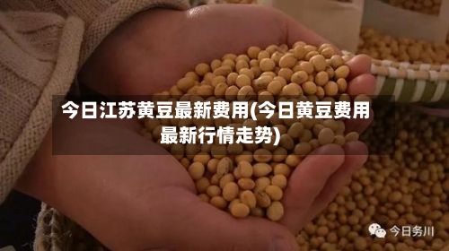 今日江苏黄豆最新费用(今日黄豆费用最新行情走势)-第3张图片