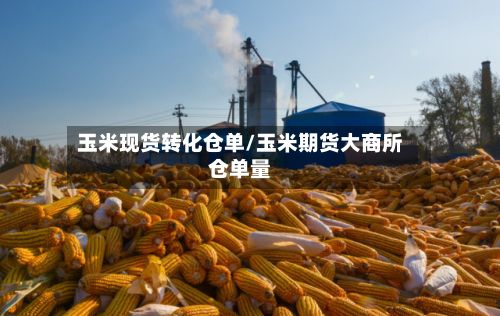 玉米现货转化仓单/玉米期货大商所仓单量