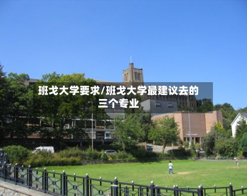 班戈大学要求/班戈大学最建议去的三个专业-第2张图片