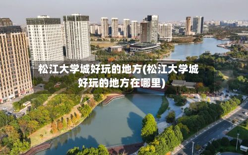 松江大学城好玩的地方(松江大学城好玩的地方在哪里)