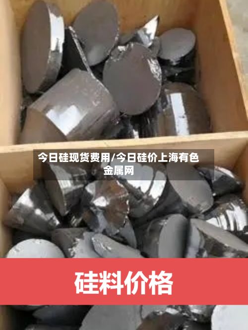 今日硅现货费用/今日硅价上海有色金属网-第2张图片